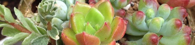 may0523's header image
