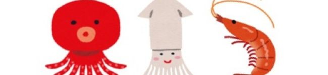 たこいかえび's header image