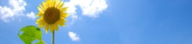 hana＊happy's header image