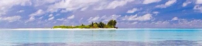 maoy's header image