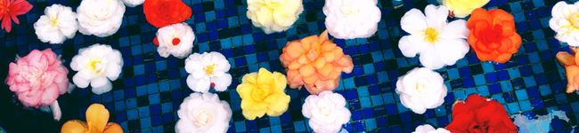 えっびえび's header image