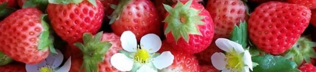 すさぴ's header image