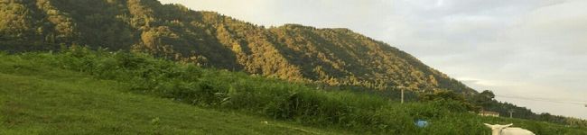 lennca's header image