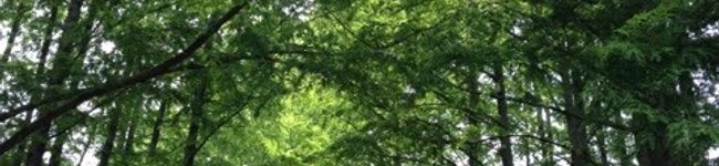 たかママ0404's header image