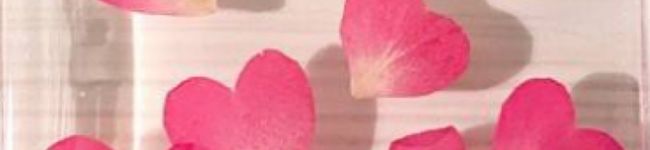 cho♡'s header image