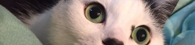 ママんのレシピ's header image