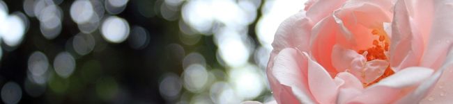 LOVE_YUE's header image