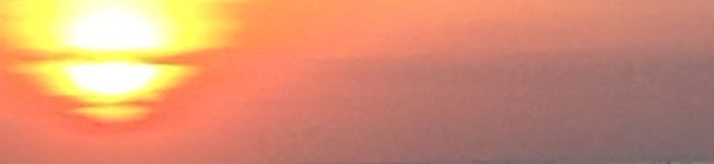 erinyuton's header image