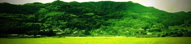 痩せたい母's header image