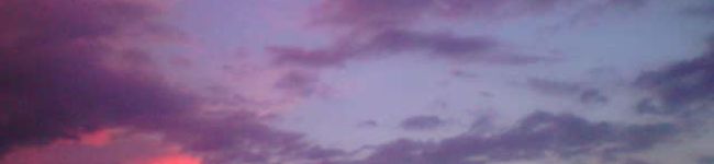 てきとう食堂's header image