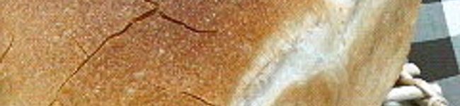 rickeycoco's header image