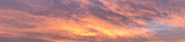 玲音。's header image