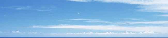 rainha's header image