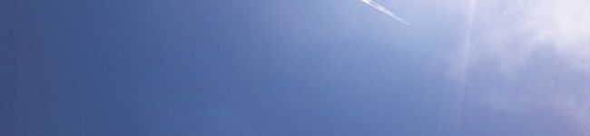 海里姫's header image