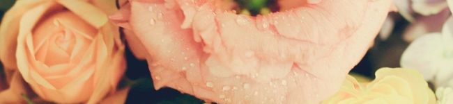 sa0ri♡'s header image