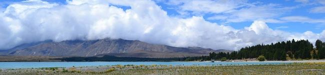 ♫MEdwa♫'s header image