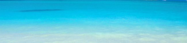 ACHANEL's header image