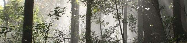 兵庫県丹波市's header image
