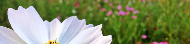まーちゅん2号's header image