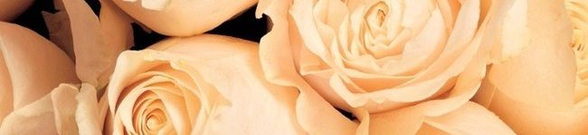 ：）＊'s header image