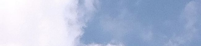 †あおモモ†'s header image