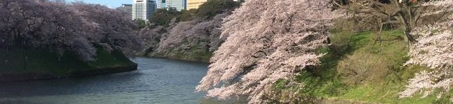 やまとまるきち's header image
