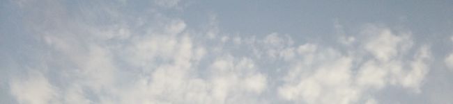 naturalpan's header image