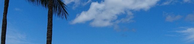 ohanalino's header image
