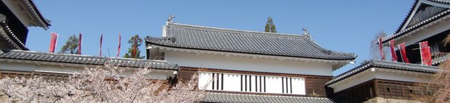 莉依花's header image