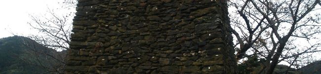 goroni's header image