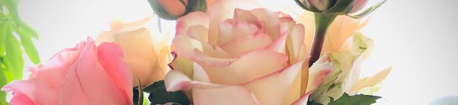 野菜ソムリエfumi's header image