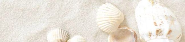 seatome's header image