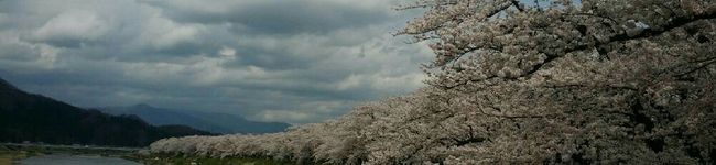 さくなづ's header image