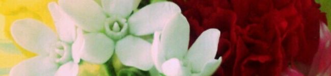 sae＊d's header image