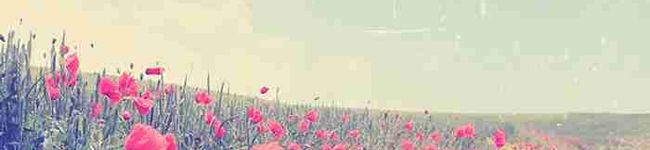 りみりみちゃん's header image