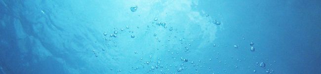 taka_tan's header image