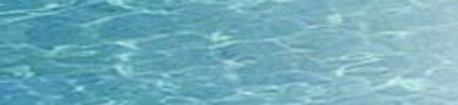 pearlmegu's header image