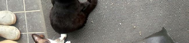 2buan's header image