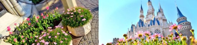saatooko's header image