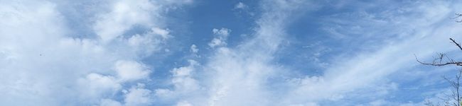 カシメ's header image