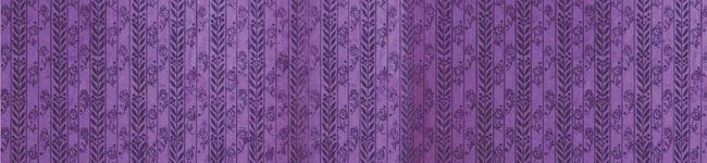 mi＊wa＋nofu's header image