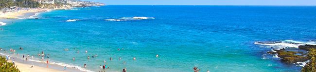 nicovegi's header image