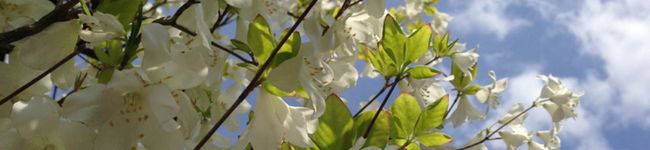 minch0715's header image