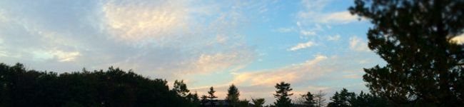 エブリティ's header image