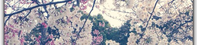 maluca555's header image