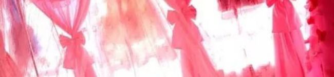 田舎のしゅふ's header image