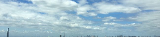 いりねこ's header image