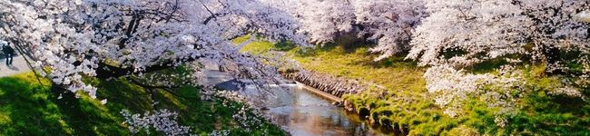 oninopantu's header image