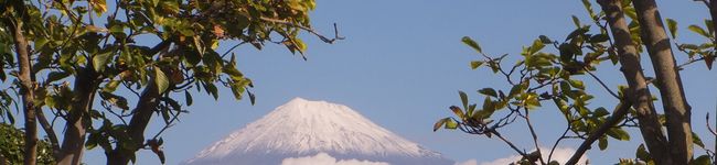 キン肉まん's header image