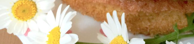 mariyo0714's header image